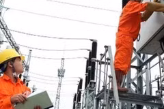 EVN asked to clarify electricity production, distribution