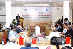 Seminar focuses on Vietnam-India joint civilisation heritage