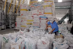 Philippines invites tenders for 250,000 tonnes of rice