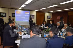 Egyptian firms updated on Vietnam’s investment policy 
