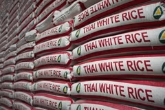 Thailand gets urgent rice orders from Bangladesh, Sri Lanka 