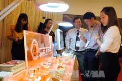 HCM City eyes boost to dental tourism