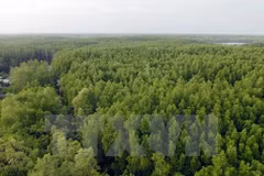 Programme on gas emission and deforestation reduction gets approved