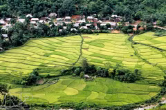 Pu Luong Nature Reserve protects rare animals