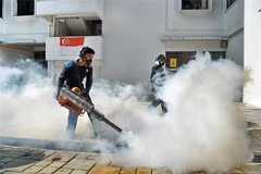 Singapore confirms two more Zika cases