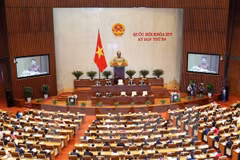 Lawmakers discuss bills on public debt, foreign trade management