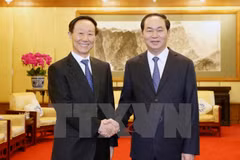 Vietnam values front cooperation with China: President 