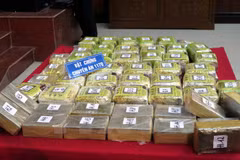 Nam Dinh police bust drug trafficking ring