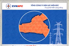 Fingerprint painting registers for Vietnam Record title