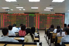 Sabeco slump slows down shares
