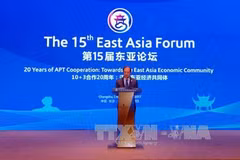 Deputy FM co-chairs 15th East Asia Forum