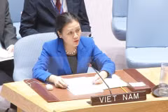 Ambassador highlights Vietnam’s stand in disarmament, nuclear non-proliferation 
