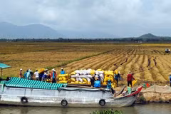 Mekong provinces link up on water management
