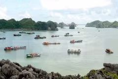 Vietnam attends 4th Int’l Our Ocean Conference in Malta