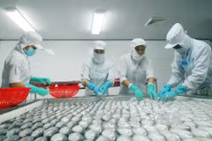 Vietnam promotes exports to Australia, New Zealand