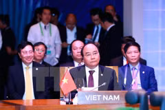 APEC, G20 cooperate in handling global economic issues