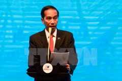 Indonesian President nominates new military head