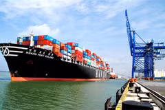 Vietnam develops links to global distributors