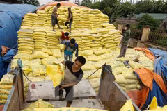 Temporary duties on fertiliser may hurt farmers