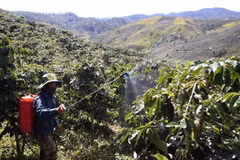 Insiders talk climate, integration-adapted coffee industry