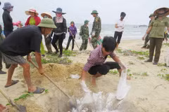 Deputy PM urged central localities to complete compensation to locals
