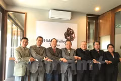 Vietnam successfully chairs ASEAN Committee in South Africa 