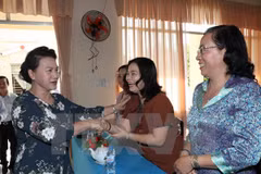 Top legislator talks to voters in Can Tho 