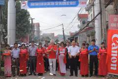 Canon lights up more rural roads in Bac Giang province