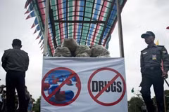 Opium fields on Thailand-Myanmar border destroyed