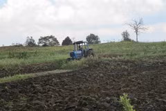 Hundred of hectares of forestland encroached upon in Gia Lai