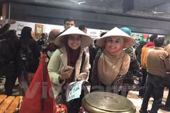 Vietnam leaves impression at cultural festival in Egypt 