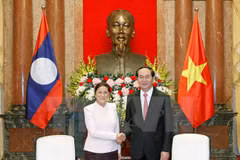 President calls for effective implementation of VN-Laos agreements