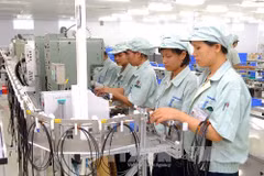 Ha Nam lures investment in industrial parks