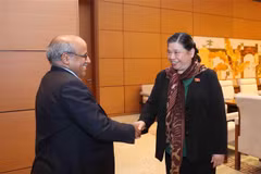 NA Vice Chairwoman meets UNICEF representative in Vietnam 