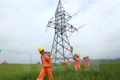 Power sector seeks way to go green over power shortage