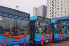Hanoi pilots European-standard buses 