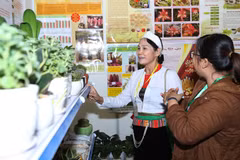 Time for Vietnam’s agriculture go hi-tech
