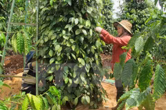 Seminar seeks to develop productive, quality agriculture 