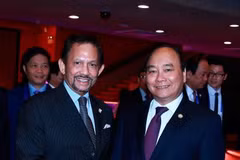 Vietnam, Brunei leaders agree to foster cooperation 