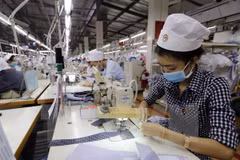 Over 61,000 new enterprises established in six months