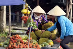  Government hopes new model will bear fruit