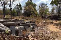 Workshop seeks to expand forest resource monitoring system by tablets