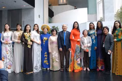 Vietnamese Ao dai enchants Seoul audience