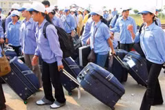 Vietnam, Saudi Arabia step up labour cooperation