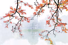 Photos feature beauty of Vietnam’s regions