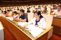Bills on guard force, weapon management go through NA