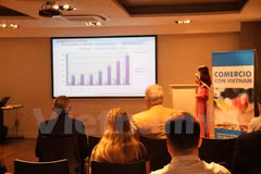 Vietnam holds talk with Argentine importers to boost trade