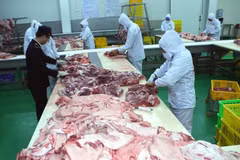Quang Nam ensures food safety, hygiene for APEC