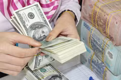 Exchange rates stable despite Fed rate hikes
