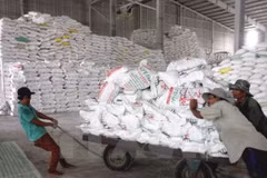 VN’s rice export price hits 3-year high